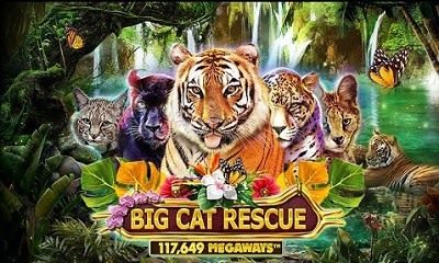 Big Cat Rescue Megaways