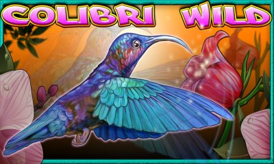 Colibri Wild