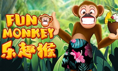 Fun Monkey