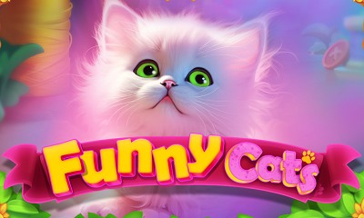 Funny Cats