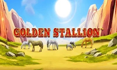 Golden Stallion