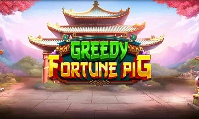 Greedy Fortune Pig