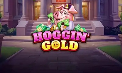 Hoggin Gold