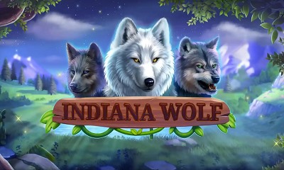 Indiana Wolf