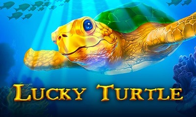 Lucky Turtle
