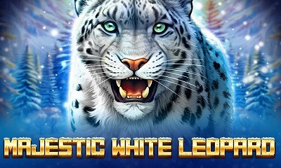 Majestic White Leopard