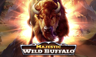 Majestic Wild Buffalo