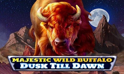 Majestic Wild Buffalo Dusk Till Dawn