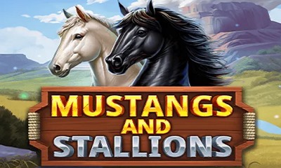 Mustangs and Stallions