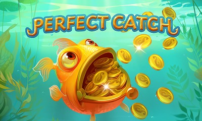 Perfect Catch