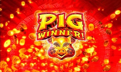 Pig Winner