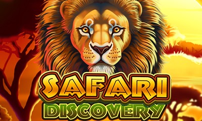 Safari Discovery