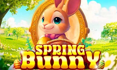 Spring Bunny