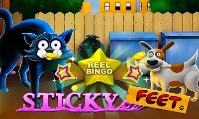 Sticky Feet + Reel Bingo