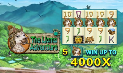 The Llama Adventure