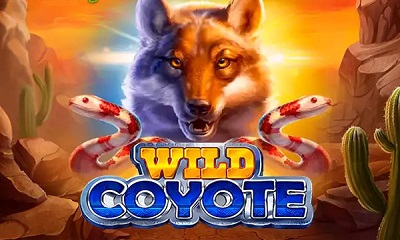 Wild Coyote