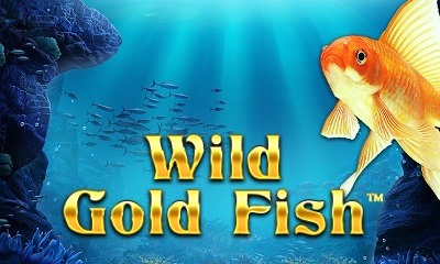 Wild Gold Fish
