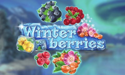 Winter Berries